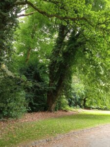 IMG_20250602_120852