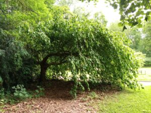 IMG_20250602_120923