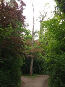 IMG_20250602_121438