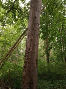IMG_20250602_121928