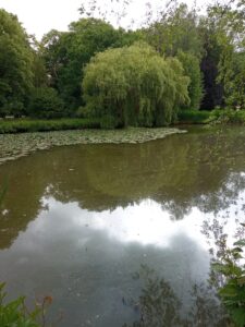 IMG_20250602_122435