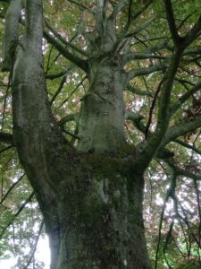 IMG_20250602_123037