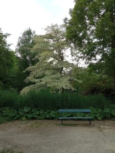 IMG_20250602_123829