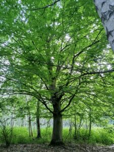 IMG_20250518_171417